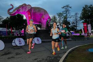 BIB: 
                            <button type="button" onclick="openModal(26529681)" class="btn btn-primary btn-sm float-right btn-popup" data-toggle="modal" data-target=".modal-high-quality">
                        <i class="fas fa-shopping-cart"></i> Add to Cart
                    </button>
                                            <button type="button" onclick="isThisMe(26529681, true)" class="btn btn-success btn-sm float-right btn-popup btn-isme hidden" data-toggle="tooltip" data-placement="bottom" title="นี่คือรูปของคุณใช่ไหม คลิกที่นี่เพื่อเอาเข้าอัลบั้ม">
                        <i class="fas fa-plus"></i> Add to album
                    </button>
                    <button type="button" onclick="isThisMe(26529681, false)" class="btn btn-warning btn-sm float-right btn-popup btn-isnotme hidden">
                        <i class="fas fa-ban"></i> Remove from album
                    </button>